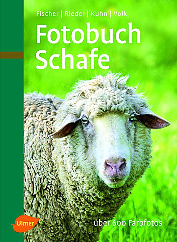  - fotobuch-schafe-071580196