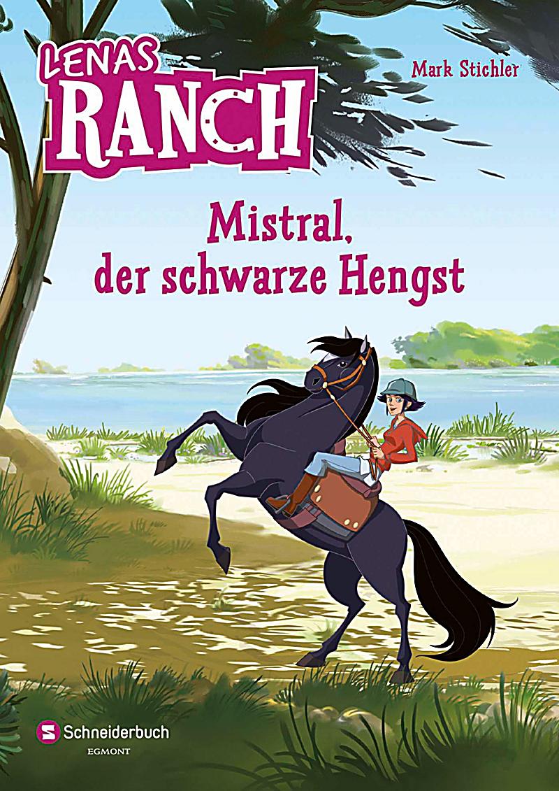  - lenas-ranch-mistral-der-schwarze-hengst-085033764